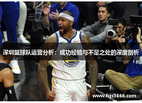 深圳篮球队运营分析：成功经验与不足之处的深度剖析