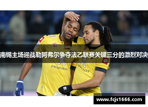 南锡主场迎战勒阿弗尔争夺法乙联赛关键三分的激烈对决
