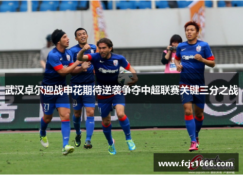 武汉卓尔迎战申花期待逆袭争夺中超联赛关键三分之战